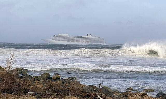 Dette vet vi om cruiseskipet «Viking Sky»